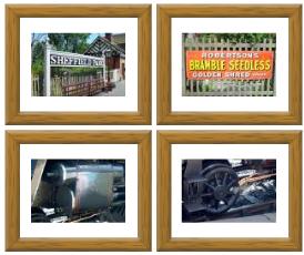 Freeway Gallery Action